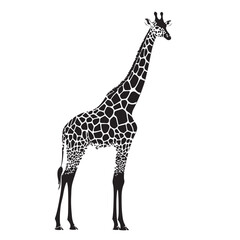 Naklejka premium Giraffe silhouette design for t-shirt and logo.