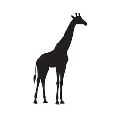 Giraffe silhouette design for t-shirt and logo.