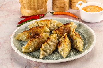 Japanese fried Gyoza stuffed dumplings