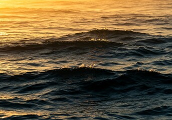 Naklejka premium This image captures the beauty of ocean waves at sunset, with golden light illuminating the dark water and visible foam