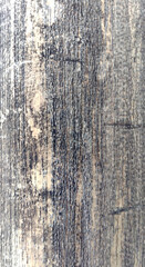 Obraz premium grunge wall texture, background for web site or mobile devices