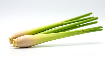 A vibrant lemongrass stalk with its fresh green and yellow tones on a white backdrop