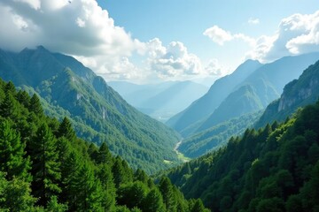 Obraz premium Lush forest canopy above rugged mountain peaks, hills, nature, scenery