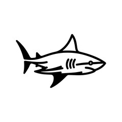 Fototapeta premium a illustration of shark