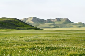 Fototapeta premium Stunning green grass landscape featuring hills and meadows under a bright white sky