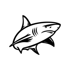 Fototapeta premium a illustration of shark