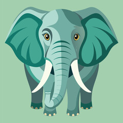 elephant vector