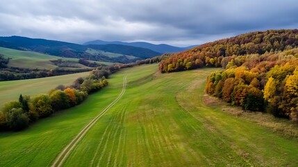 Naklejka premium Aerial Photography of a Vibrant Green Field with Rolling Hills and Autumn Leaves : Generative AI