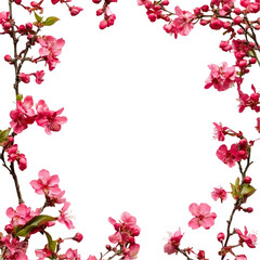 Pink Blossoms Abstract Red Stripes Design