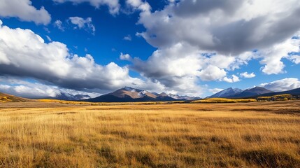 Fototapeta premium Expansive golden grassland with distant mountains under a cloudy sky showcasing nature's beauty : Generative AI