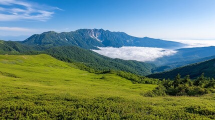 Obraz premium Breathtaking Mountain Landscape with Lush Green Hills and Foggy Valley Under Clear Blue Sky in Summer