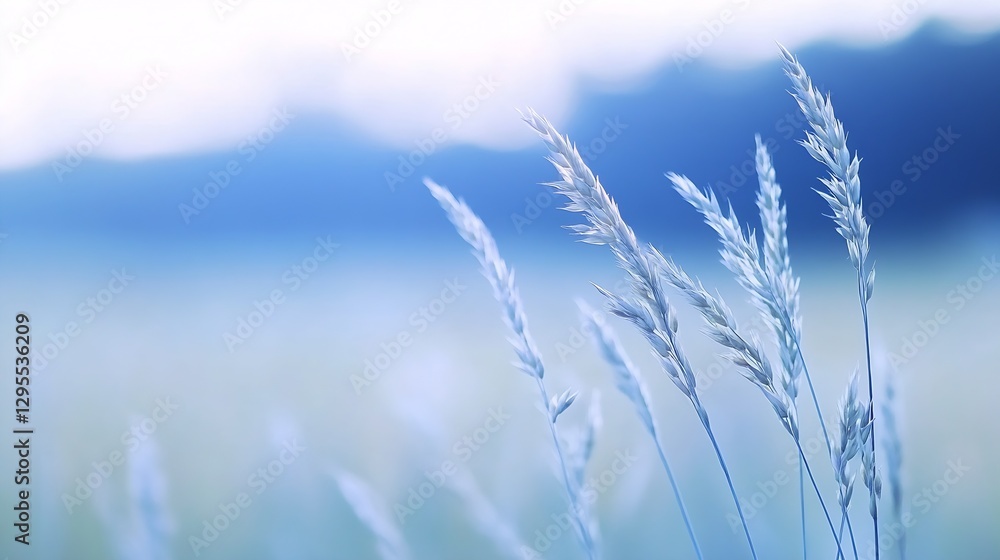 Poster delicate grass blades shimmering in gentle morning light in a field : generative ai