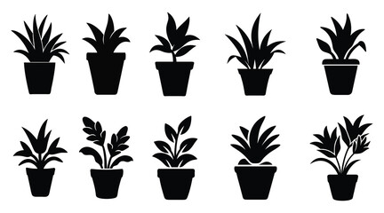Potted Plant Silhouettes Vector Set - Indoor, Leaf, Nature, Botanical Icons