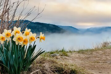 A serene spring landscape featuring golden daffodils gently swaying in a lush green field, symbolizing the essence of the equinox, with space for text.  .