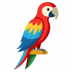 parrot  illustration on white background