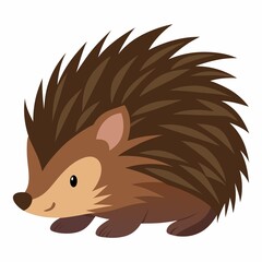 Porcupine illustration on white background