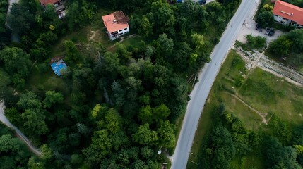 Obraz premium Aerial view of lush greenery showcasing a winding road passing through dense forested area : Generative AI