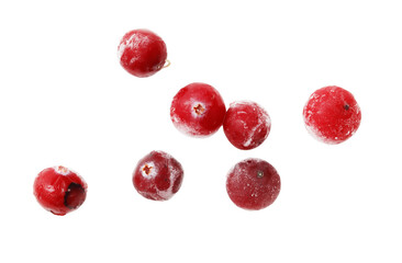 A bunch of frozen red berries
