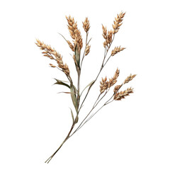 Fototapeta premium Wheat stalks against vibrant abstract stripes art design nature harvest digital painting