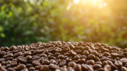 Obraz premium Close Up of Fresh Roasted Coffee Beans with Sunlight and Green Background : Generative AI