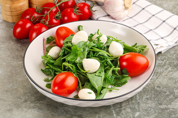 Salad with mozzarella and arugula