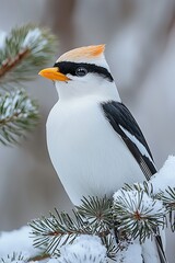 Naklejka premium A white bird sitting on top of a pine tree covered in snow
