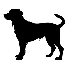 Golden Retriever –  Silhouettes