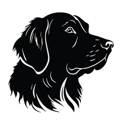 Golden Retriever dog   vector illustration 
