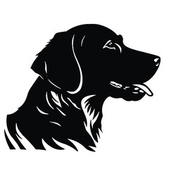 Golden Retriever dog   vector illustration 