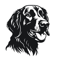 Fototapeta premium Golden Retriever dog vector illustration 