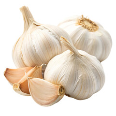 Garlic healthy food isolated on transparent background 