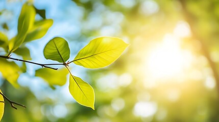 Bright sun rays filtering through lush green leaves creating a serene atmosphere : Generative AI