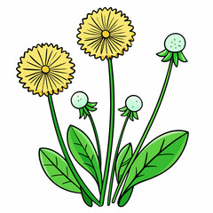 Dandelions icon illustrating cheerful flowers with green leaves