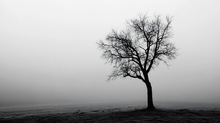 Solitary tree silhouetted against a foggy landscape creating a haunting and tranquil atmosphere for reflections : Generative AI