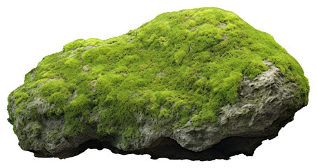 PNG Rock moss rock plant.