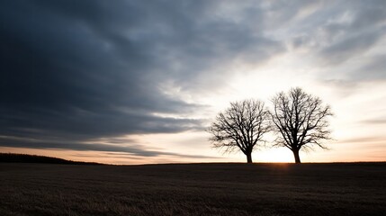 Obraz premium Silhouetted trees against a dramatic sky at dusk creating a serene atmosphere : Generative AI