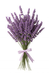 Naklejka premium A bunch of purple lavender flowers are tied together with a ribbon