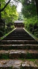 Stone steps ascending to temple, lush forest