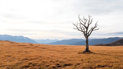 Obraz premium Lonely lifeless tree on a barren field against a backdrop of mountains : Generative AI