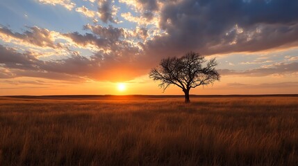 Fototapeta premium Stunning sunset view with a solitary tree in an expansive golden field under vibrant clouds : Generative AI