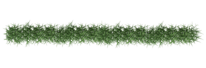green grass isolated on white