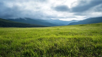 Fototapeta premium Lush green expansive field surrounded by majestic mountains under a cloudy sky : Generative AI