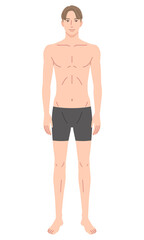 Fototapeta premium 男性 体型 骨格モデル