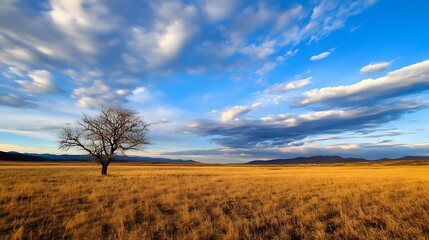 Fototapeta premium Lone tree in a vast golden field under a blue sky filled with clouds during a sunny day : Generative AI