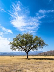 Isolated Tree Standing Tall in a Sunny Open Field with Rolling Hills and Blue Sky : Generative AI