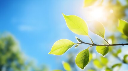 Obraz premium Fresh green leaves glistening in sunlight against a clear blue sky symbolizing nature vitality : Generative AI