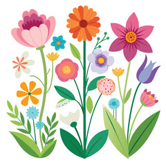 Collection of  flowers and branches illustration
