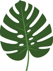 Monstera plant leaf in rich green color showcasing detailed cut-outs and textures in a flat design style vector art
