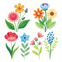 Collection of  flowers and branches illustration