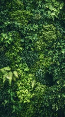 Lush green vertical garden wall